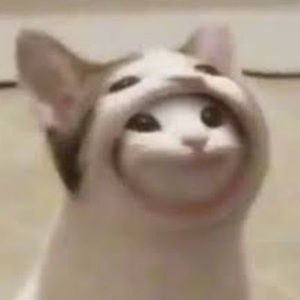 Meet your Posher, Robinsonn